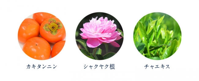 柿とピンクの花とお茶の葉の画像