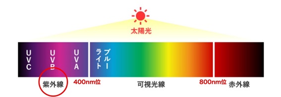 太陽光から出ている有害光線の図