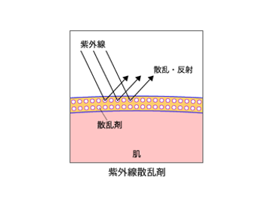 紫外線散乱剤の紫外線ブロックのメカニズムの図