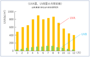 月別のUVA量・UVB量の変動を示すグラフ