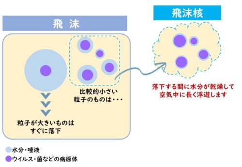飛沫と飛沫核の違いを示す図