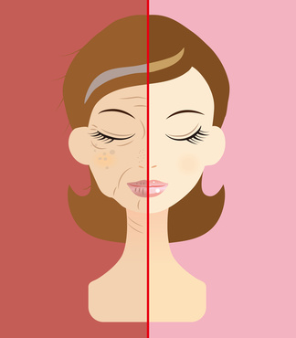 50代のほうれい線が目立つ女性と目立たない女性の比較イラスト