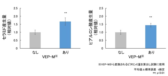 VEP-Mによるセラミドおよびヒアルロン酸産生促進効果